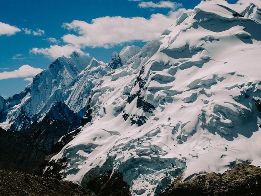 کرکس ایران