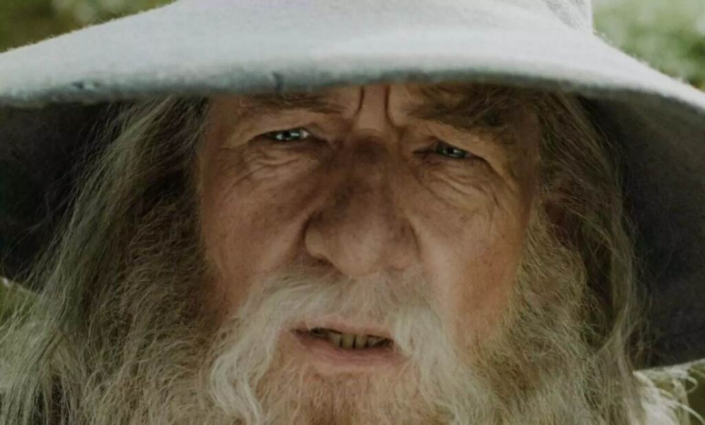 7 جادوگر برتر دنیای سینما گندالف در «ارباب حلقهها»