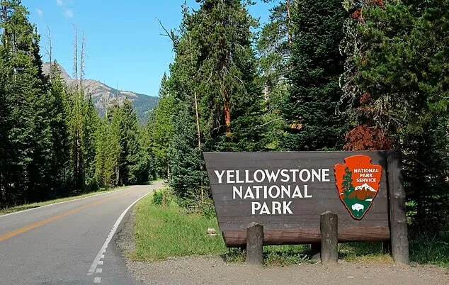 اولین مورد تأیید شده از بیماری زامبی گوزن ها در پارک ملی یلواستون آمریکا پارک ملی یلواستون آمریکا