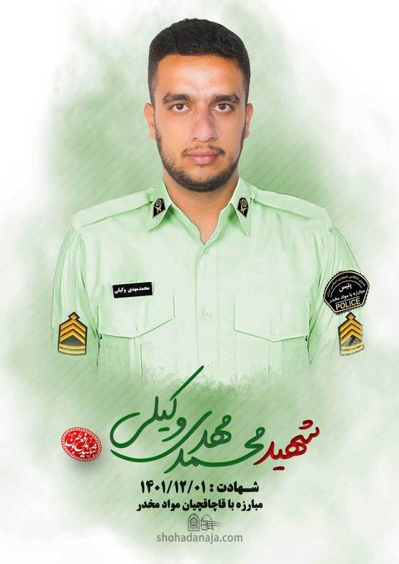 قصاص قاتل محمد مهدی وکیلی