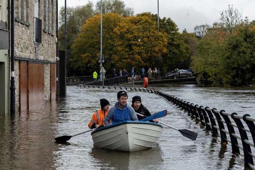 سیل در ایرلند شمالی