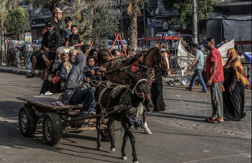 دیدنی های امروز؛ از ادامه حملات اسراییل به غزه تا سخنرانی سید حسن نصرالله استفاده از گاری و درشکه برای حمل و نقل