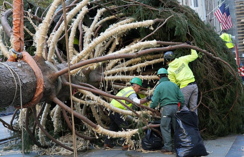 دیدنی های امروز؛ بزرگ ترین تظاهرات حامیان فلسطین در لندن نصب درخت کریسمس مرکز راکفلر در نیویورک