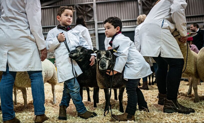 دیدنی های امروز؛ از شکست دومین پرتاب موشک اسپیس ایکس تا وضعیت بیمارستان های غزه نمایشگاه پاییزه احشام