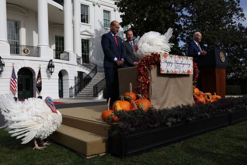 دیدنی های امروز؛ روز جهانی کودک به یاد کودکان غزه مراسم انتخاب بوقلمون سال