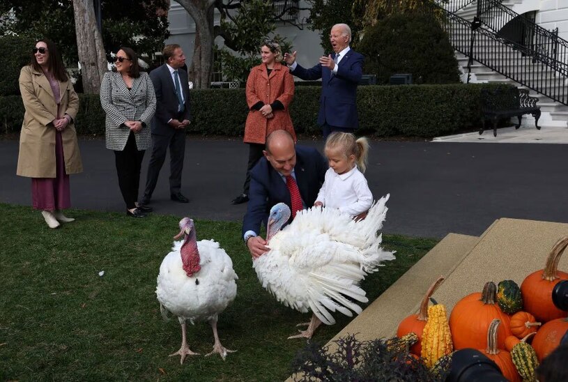 دیدنی های امروز؛ روز جهانی کودک به یاد کودکان غزه مراسم انتخاب بوقلمون سال