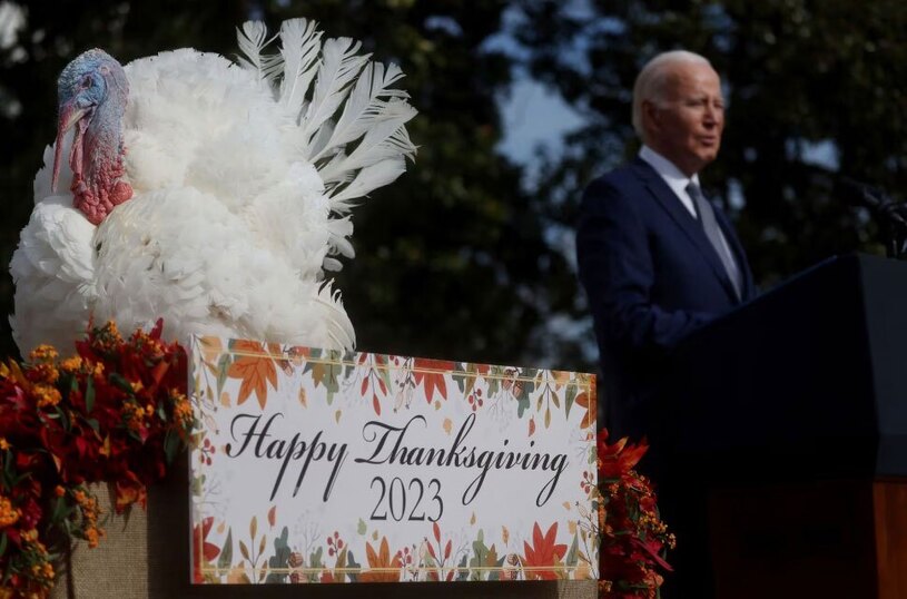 دیدنی های امروز؛ روز جهانی کودک به یاد کودکان غزه مراسم انتخاب بوقلمون سال