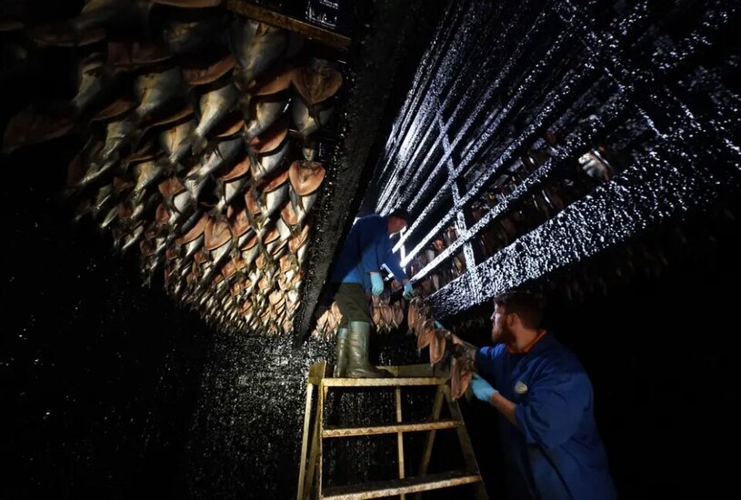 کارخانه تولید ماهی دودی