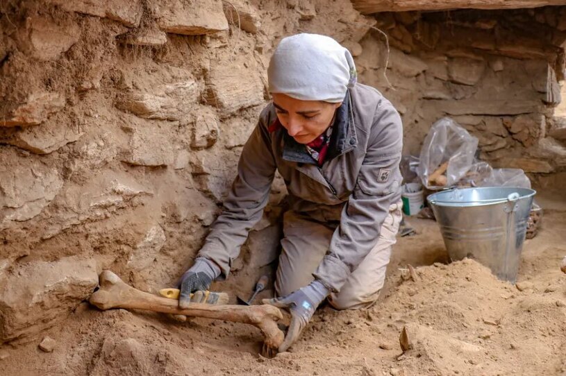 کشف بیش از 400 اسکلت انسانی از یک گورستان باستانی
