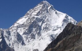 تصاویری از سفیدپوشی کرکس ایران