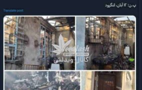 توئیت رشیدپور