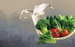 تغذیه آلودگی هوا