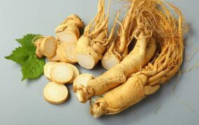 جینسینگ لاغری سریع