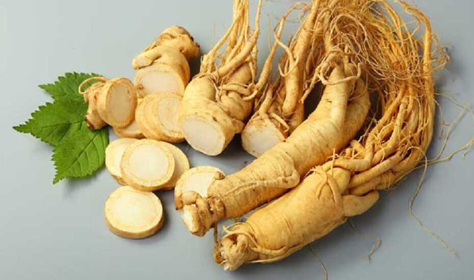 جینسینگ لاغری سریع