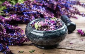 دمنوش مریم گلی افزایش حافظه