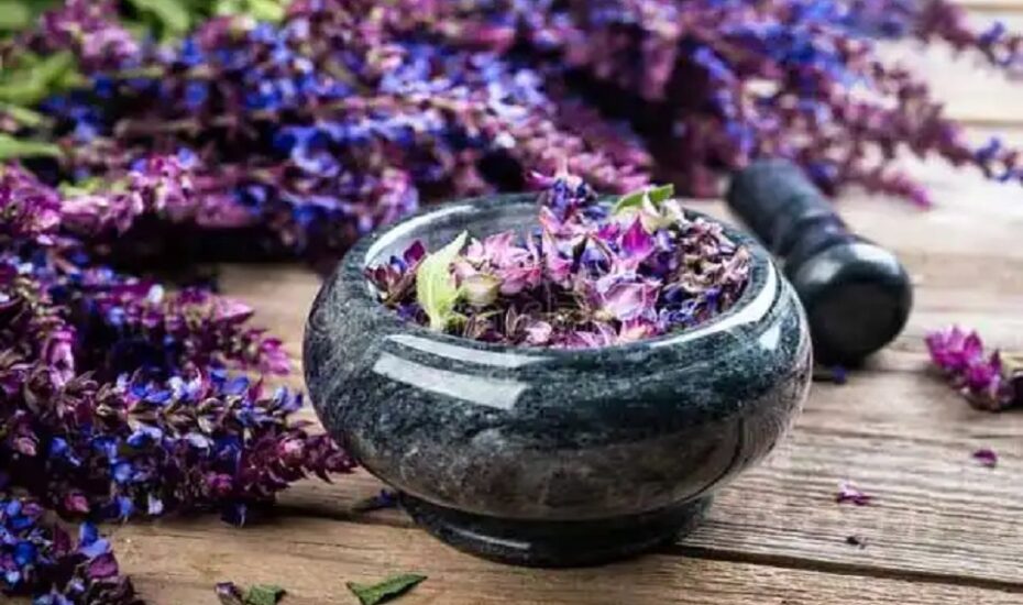 دمنوش مریم گلی افزایش حافظه