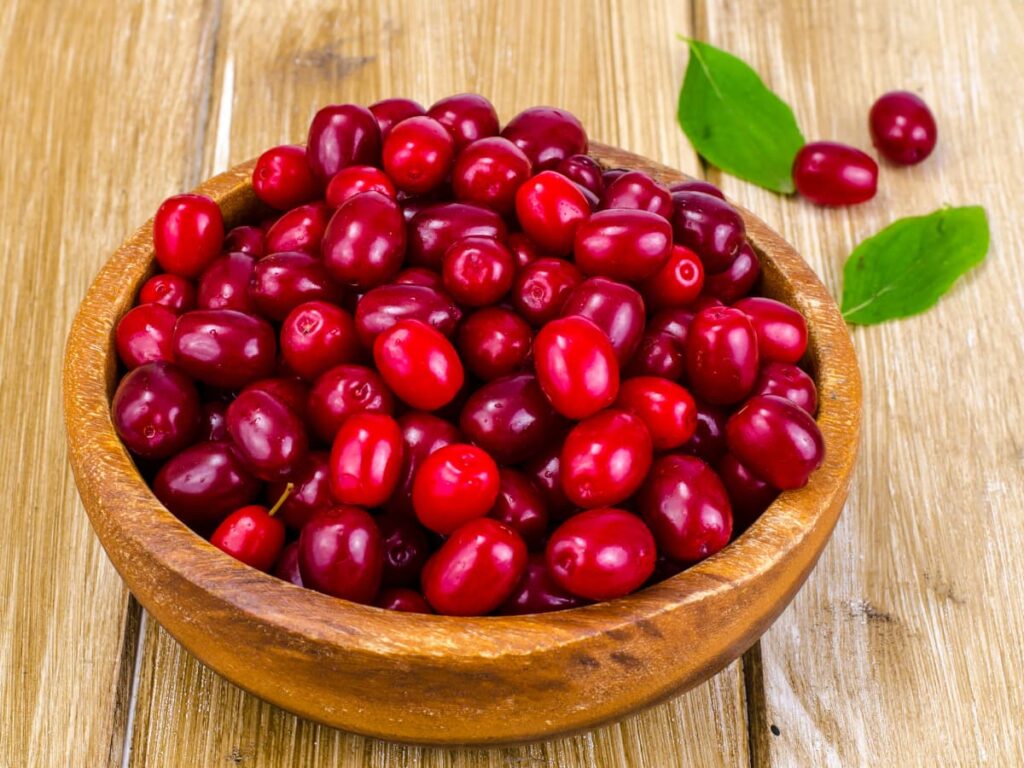 زغال اخته