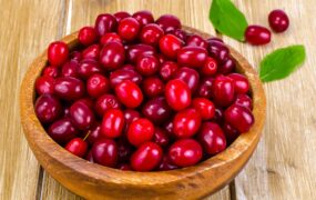 زغال اخته