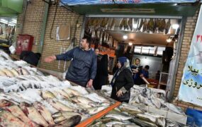 قیمت ماهی