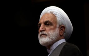 محسنی اژه ای