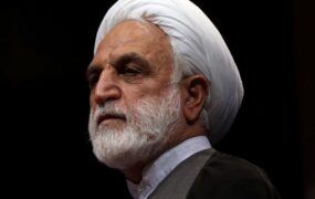 محسنی اژه ای