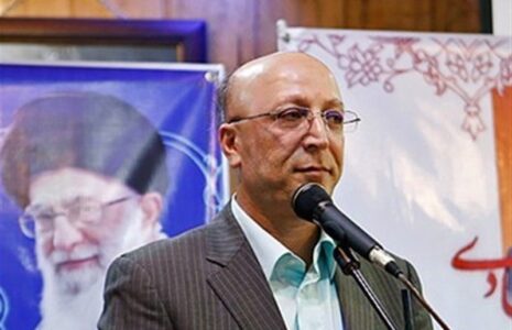 محمد علی زلفی گل