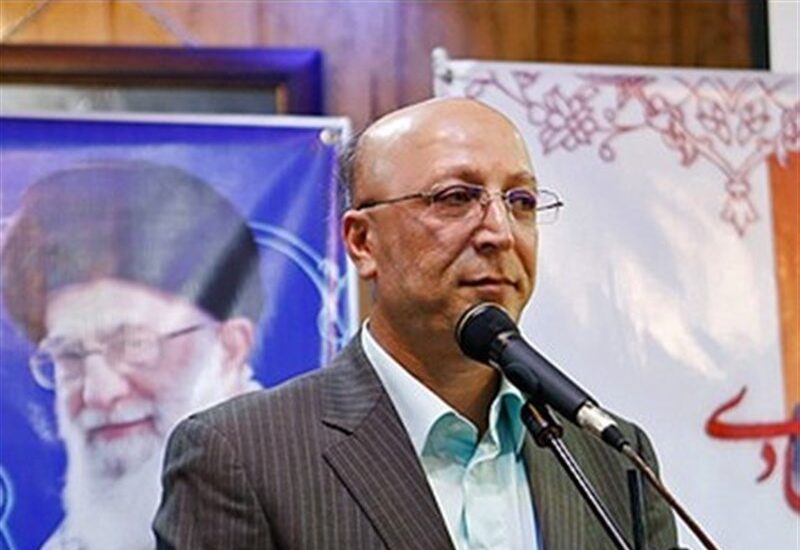 محمد علی زلفی گل