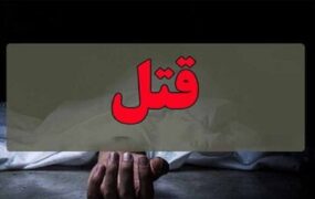 پلیس تعقیب