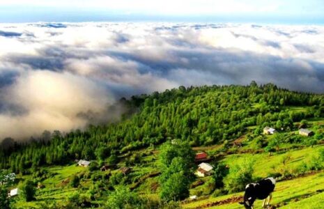 10 سوغاتی شمال که باید بشناسید