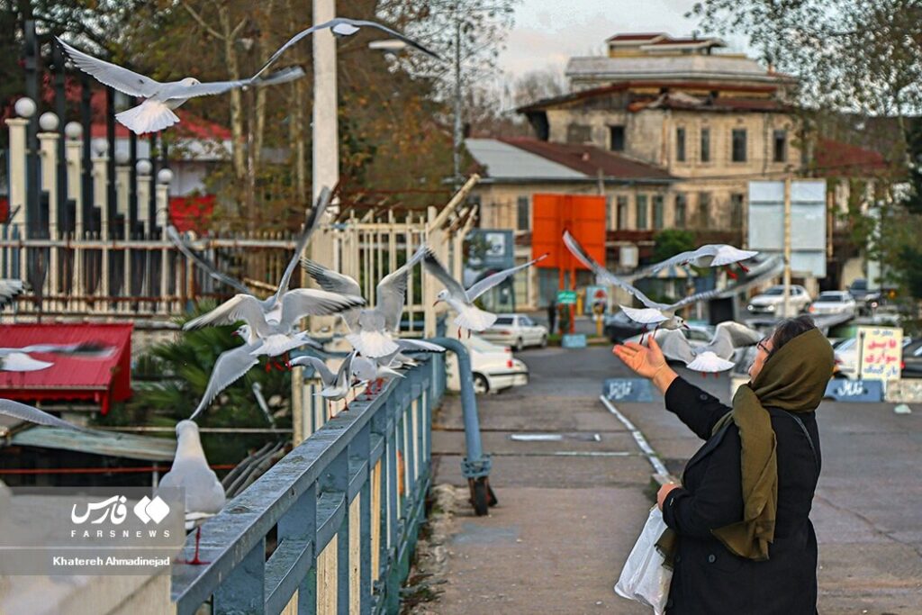 مهاجران سیبری در بندر انزلی/ عکس مهاجران سیبری