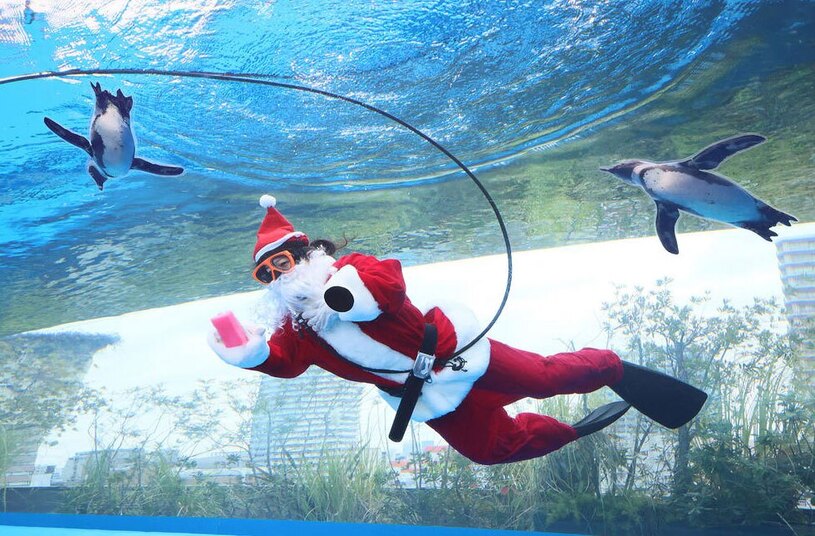 دیدنی های امروز؛ از بابانوئل شترسوار تا ادامه کشتار غیرنظامیان در غزه آکواریوم شهر توکیو