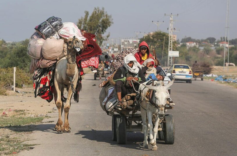 دیدنی های امروز؛ از بابانوئل شترسوار تا ادامه کشتار غیرنظامیان در غزه برخی از شهروندان غزه ای در حال ترک محل به سمت شهر رفح