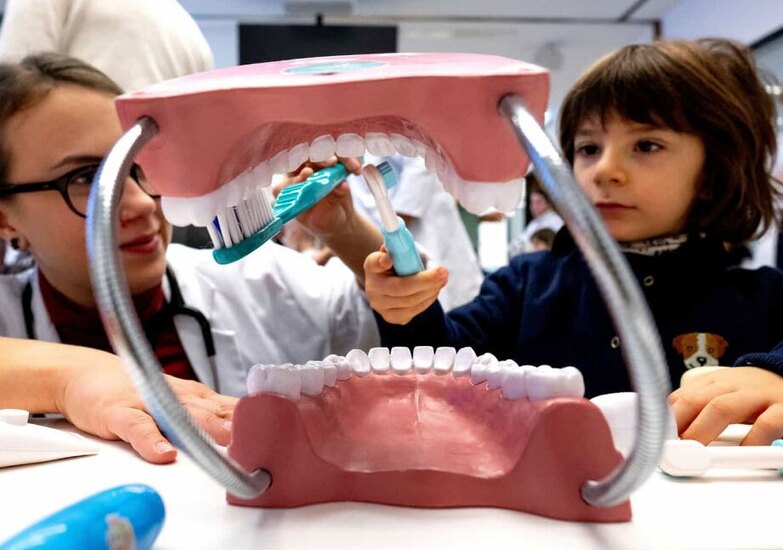 عروسک خرس تدی درون یک دستگاه سی تی اسکن