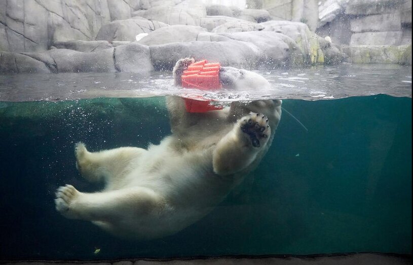 باغ وحش هامبورگ آلمان