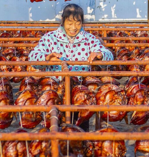 خشک کردن ماهی طعم دار شده در چین