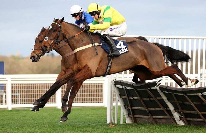 مسابقات اسب سواری