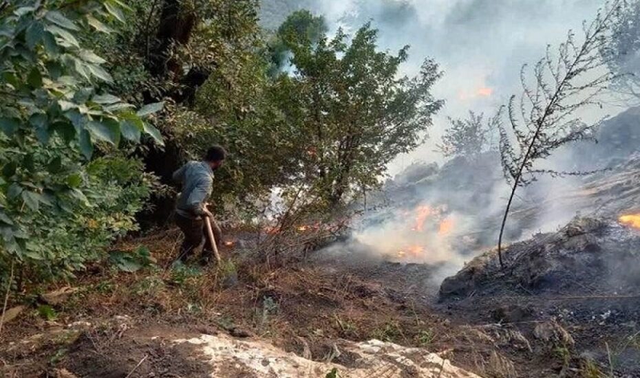 احتمال وقوع آتش‌سوزی در این جنگل