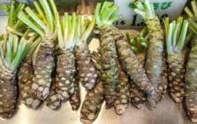 ادویه ژاپنی