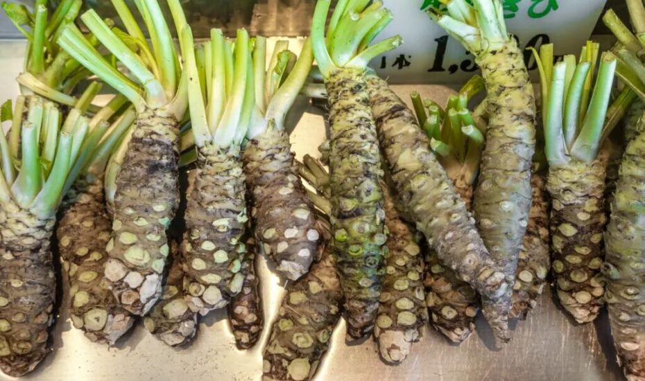 ادویه ژاپنی