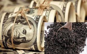 اموال چه کسانی در ماجرای فاسد دبش