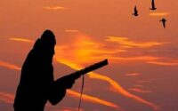 دستگیری سردسته باند شکار غیرمجاز