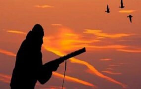 دستگیری سردسته باند شکار غیرمجاز