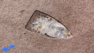 سوختگی فرش و رفوی آن