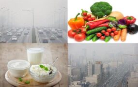 ضربه فنی اثرات آلودگی هوا با این مواد غذایی