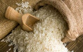 قیمت جدید انواع برنج ایرانی