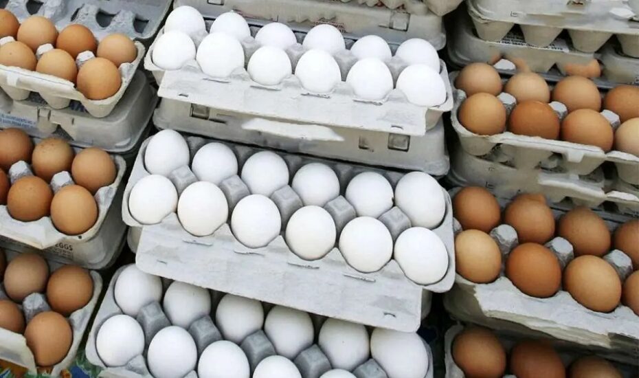 قیمت جدید تخم مرغ