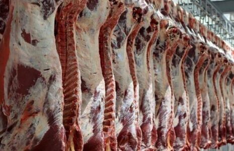 قیمت واقعی گوشت اعلام شد قیمت واقعی گوشت