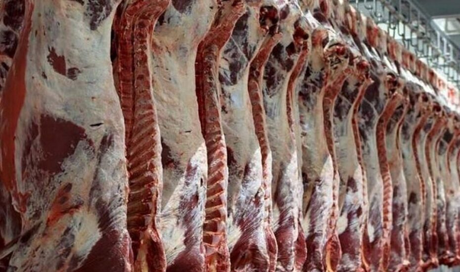 قیمت واقعی گوشت