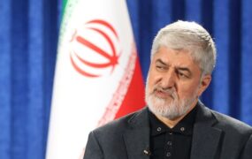 مطهری خالص‌سازی