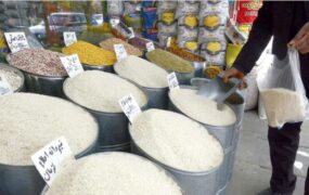 واردات برنج